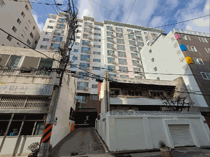 사진 5