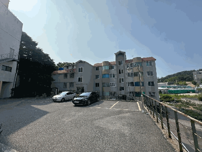 사진 7
