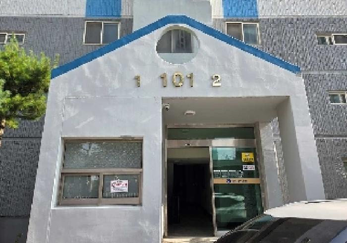사진 12