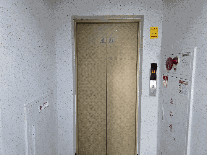 사진 51