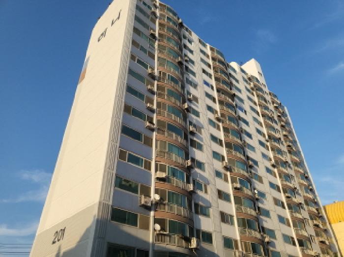 사진 8