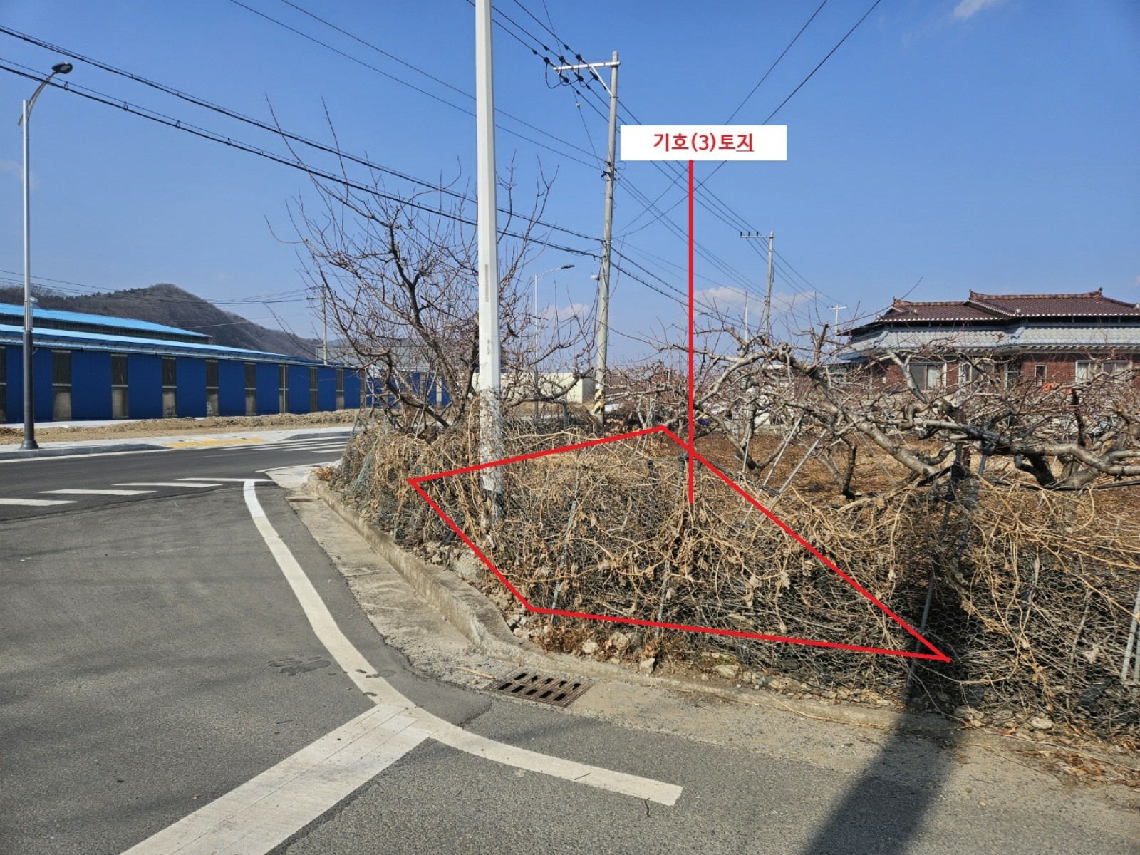 사진 1