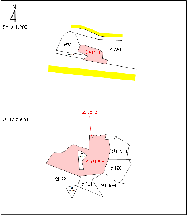 사진 19