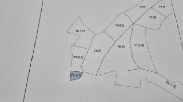 사진 4