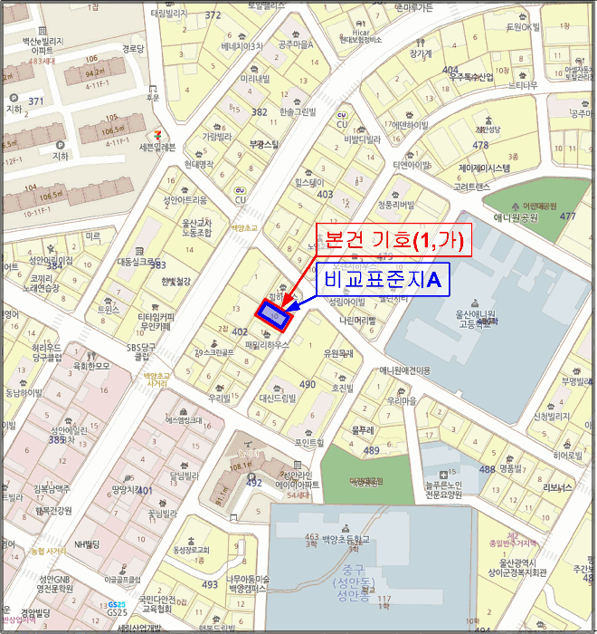 사진 5
