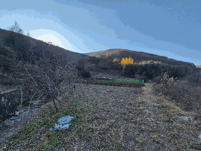 사진 2