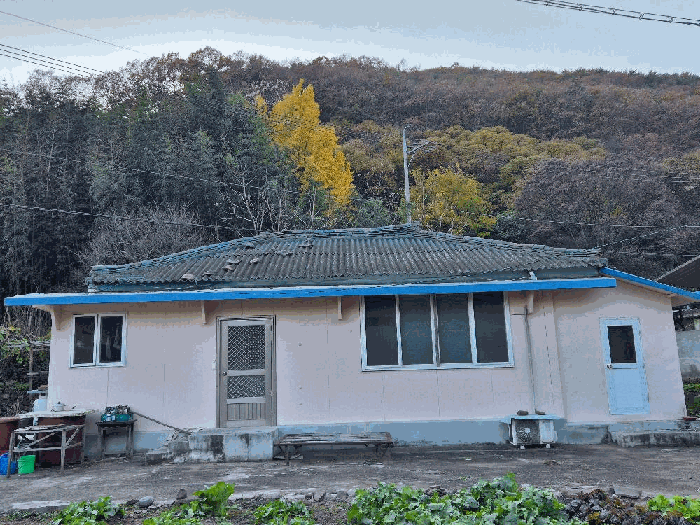 사진 1