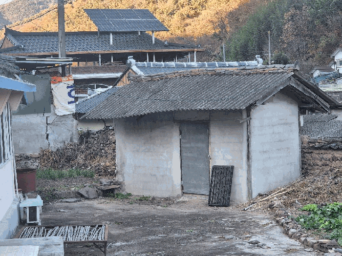 사진 13