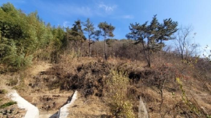 사진 17