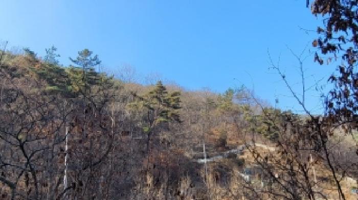 사진 19