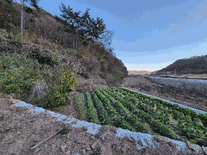 사진 8
