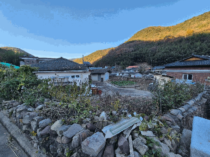 사진 9