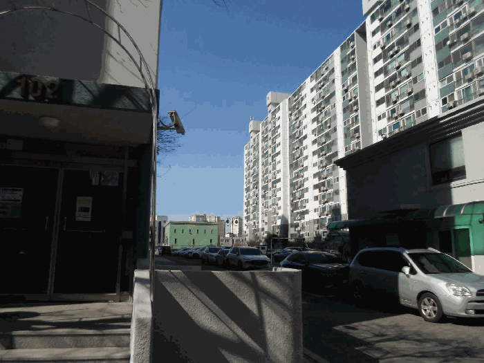 사진 2