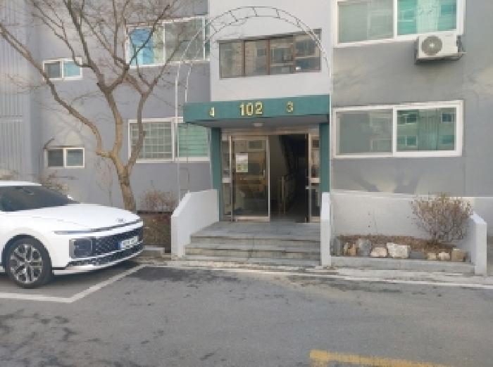 사진 13