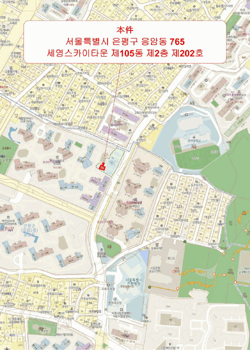 사진 10