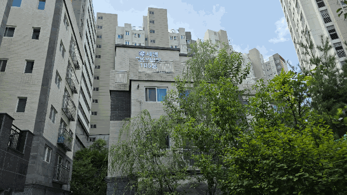 사진 11