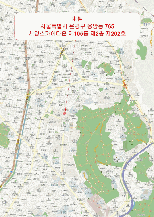 사진 5
