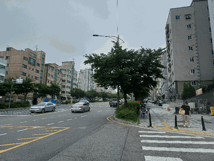 사진 12