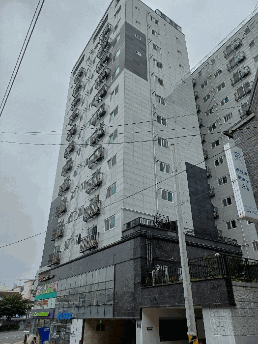 사진 5