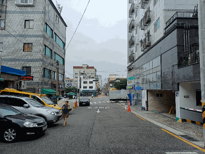 사진 8