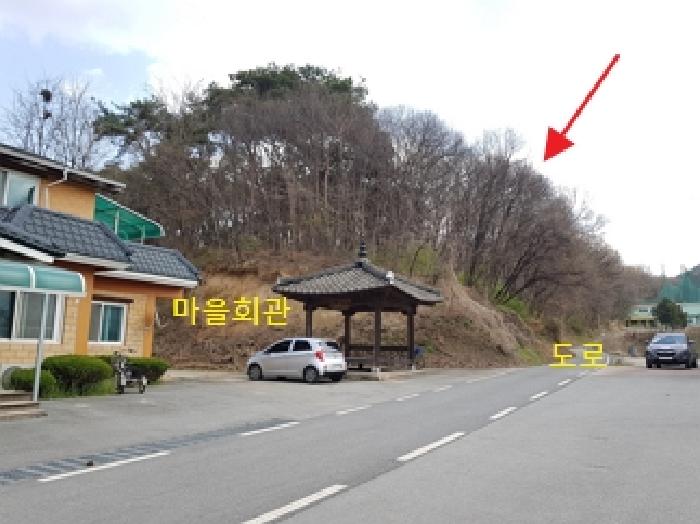 사진 2
