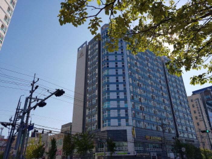 사진 5