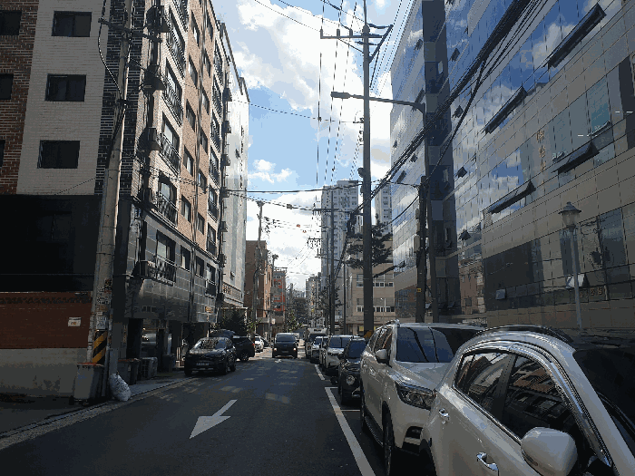 사진 5