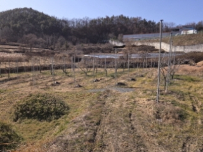 사진 9