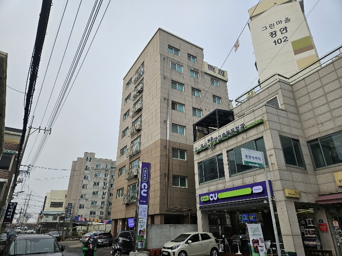 사진 10