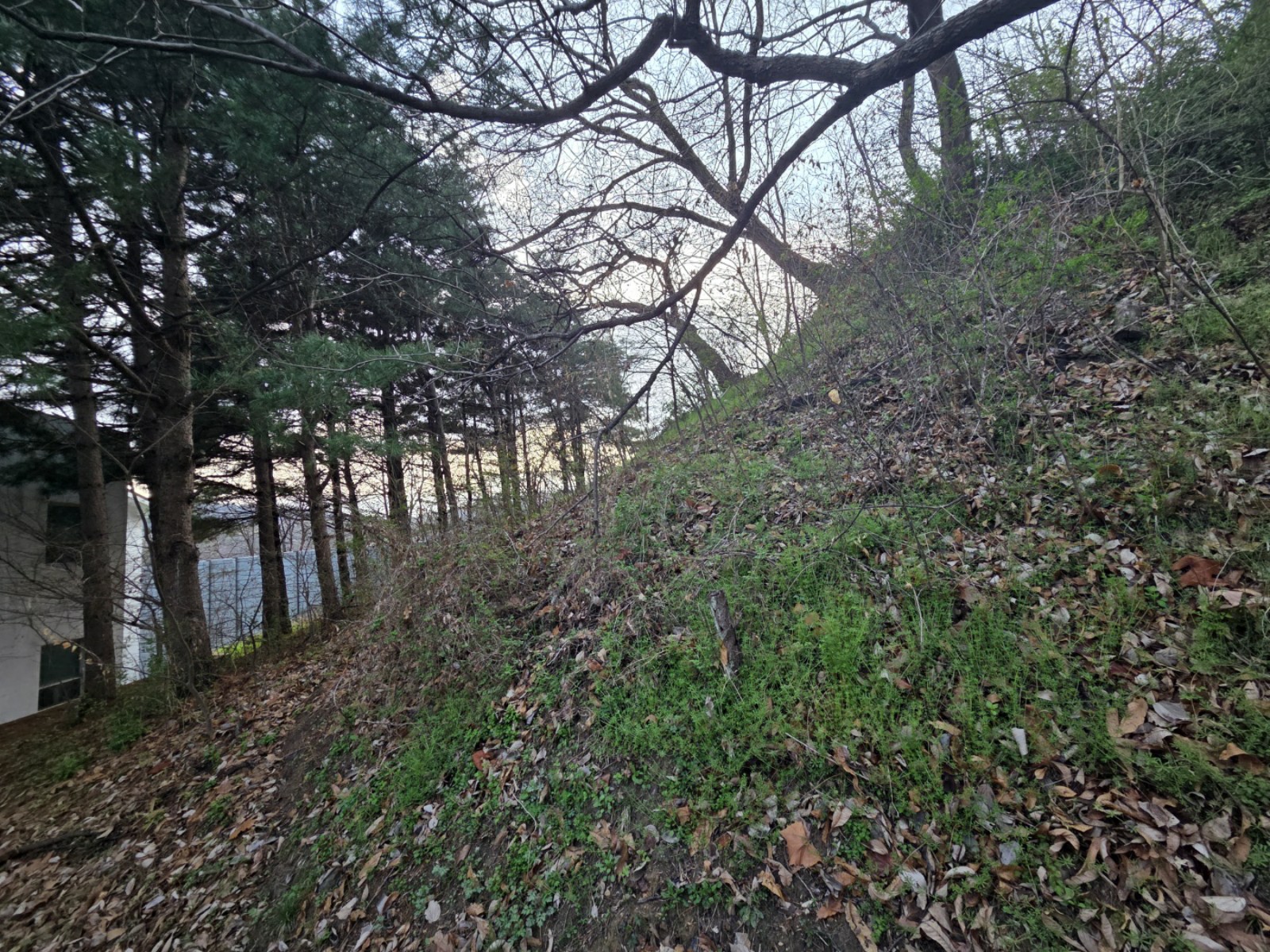 사진 1