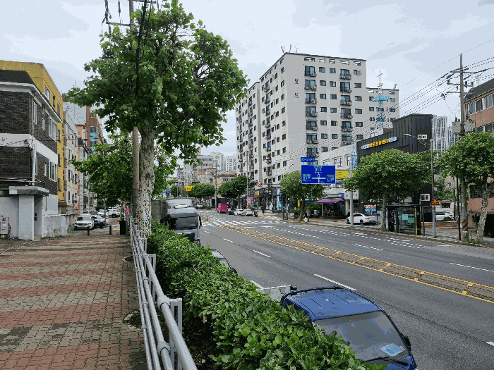사진 10