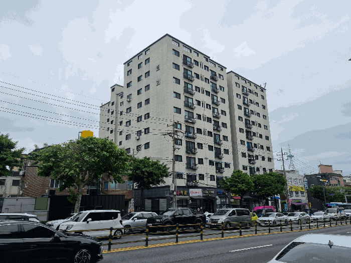 사진 12