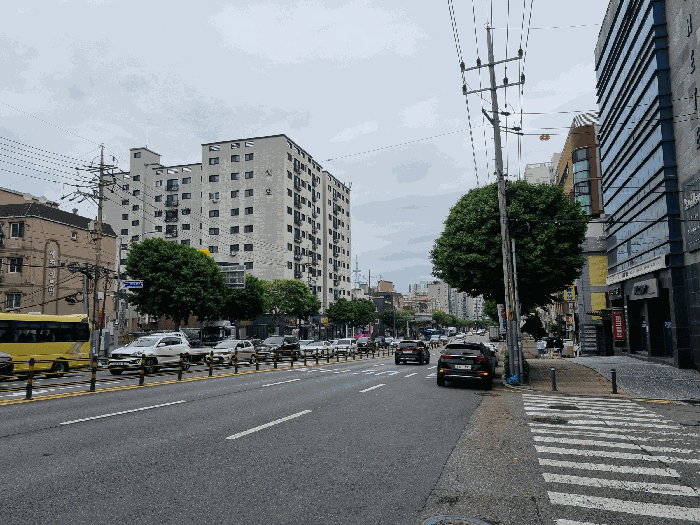 사진 6