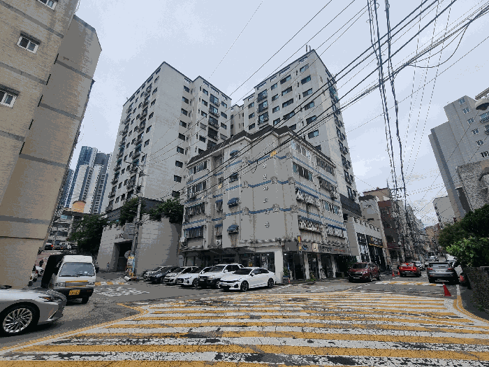 사진 8
