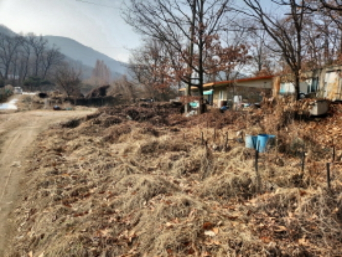 사진 7