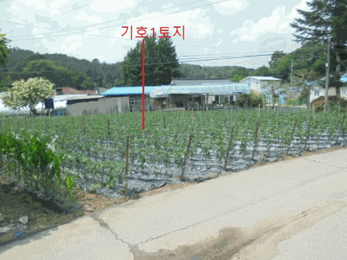 사진 2
