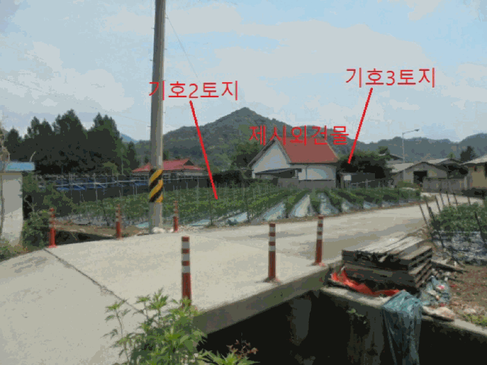 사진 11