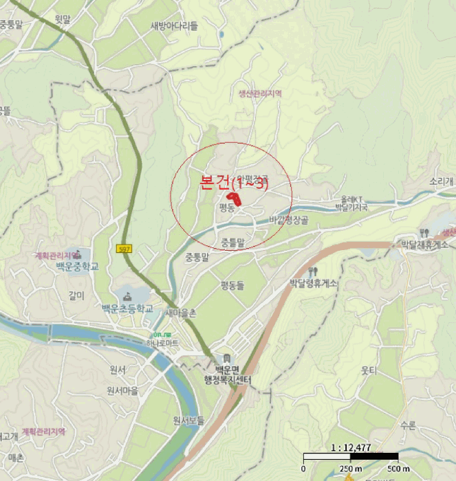 사진 12
