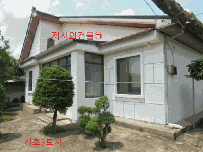 사진 15
