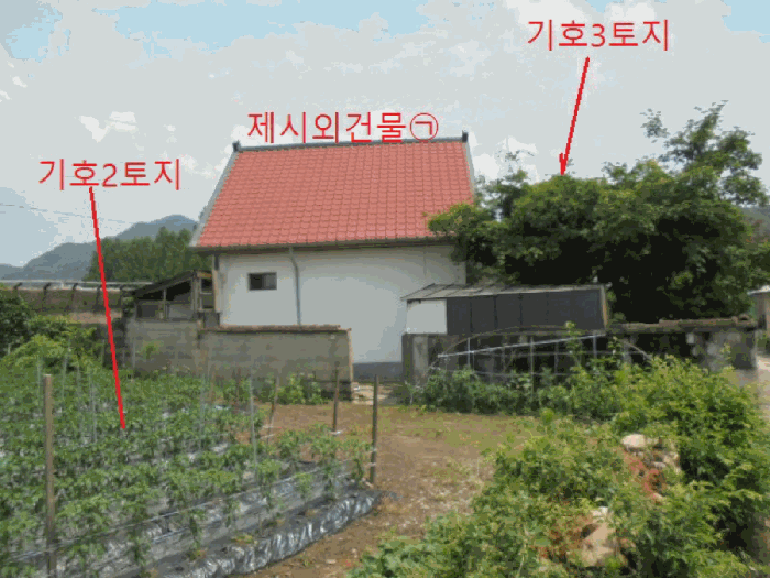 사진 4