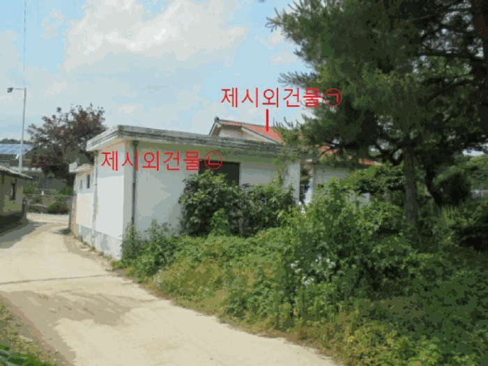 사진 5