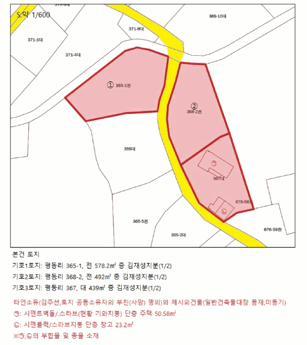 사진 8