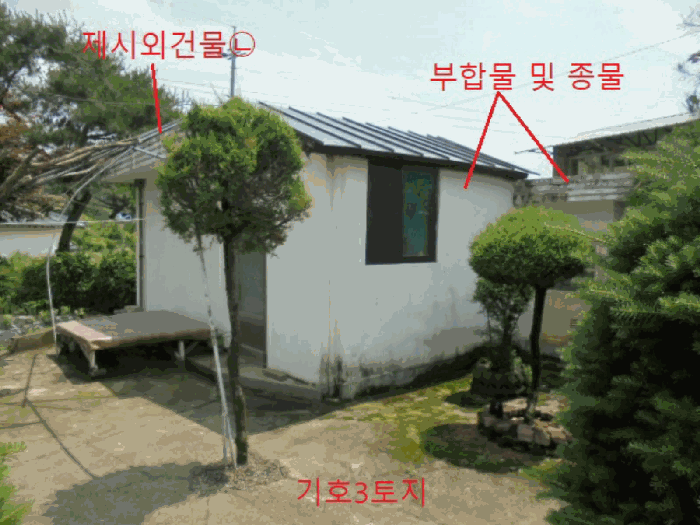 사진 9