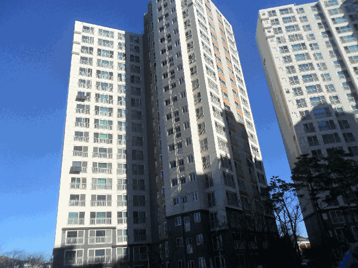 사진 6