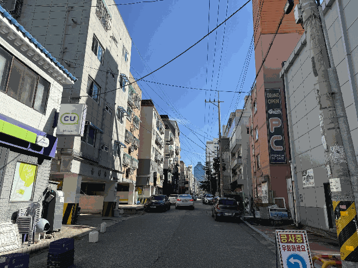 사진 10