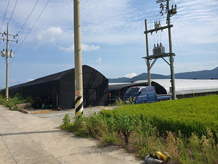 사진 12
