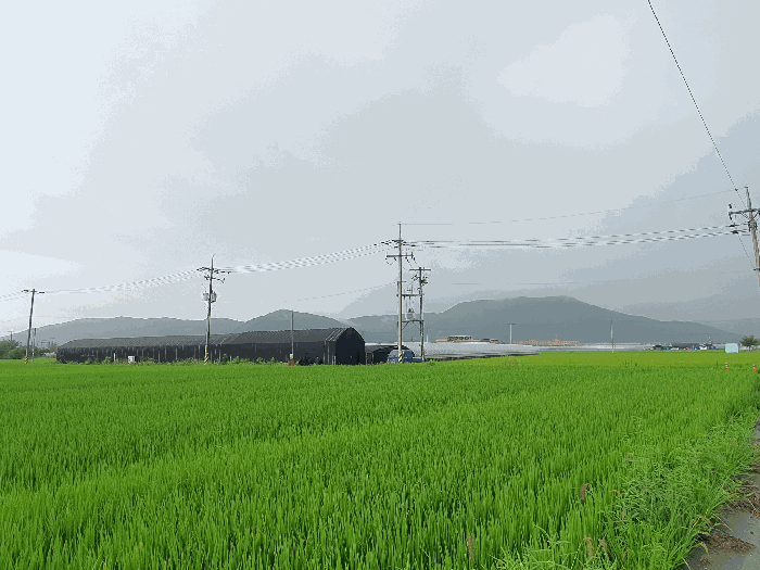 사진 9