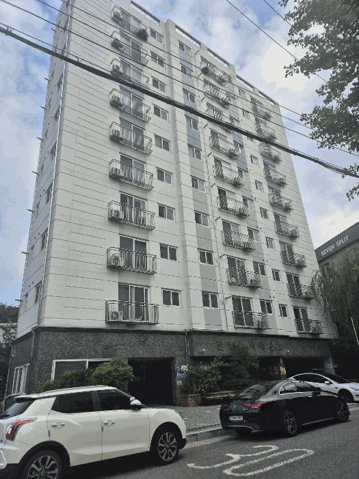 사진 10