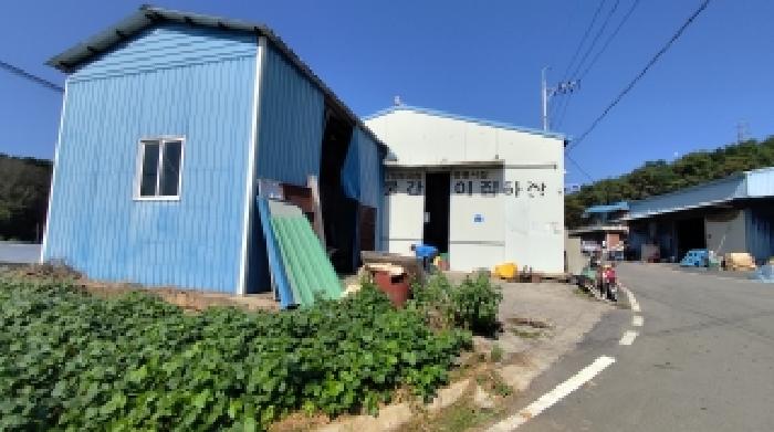 사진 7