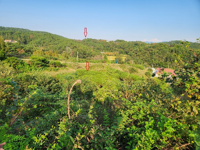 사진 10